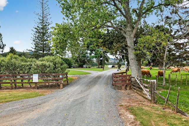 84 Adams Road Whareora_2