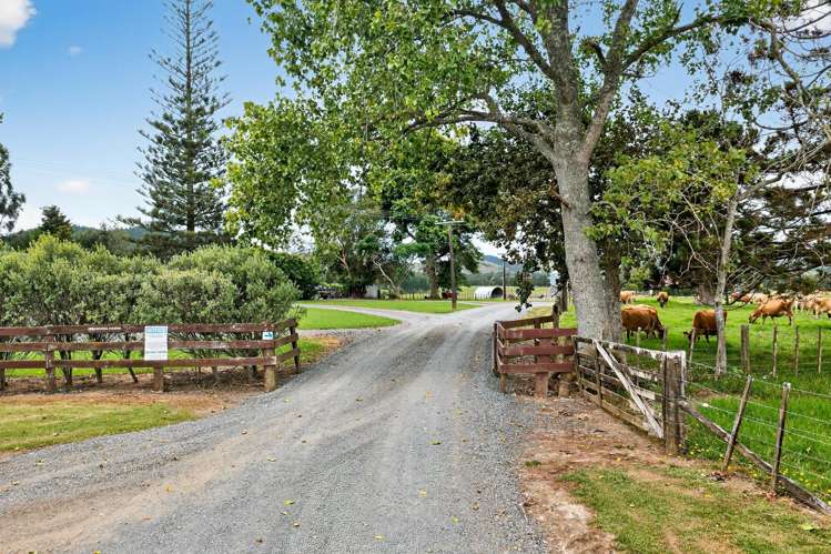 84 Adams Road Whareora_2