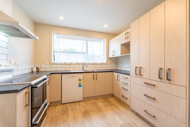 4a Roxburgh Street Timaru_1