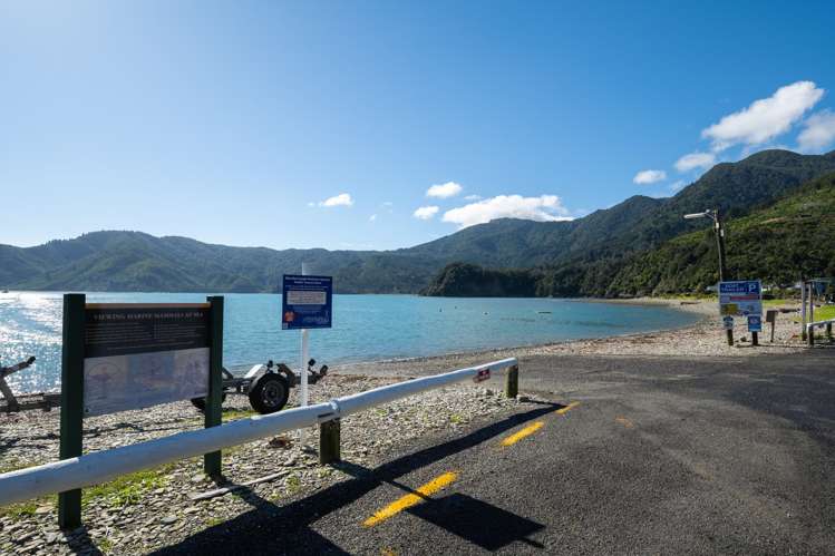 Kanuka Summits Okiwi Bay_17