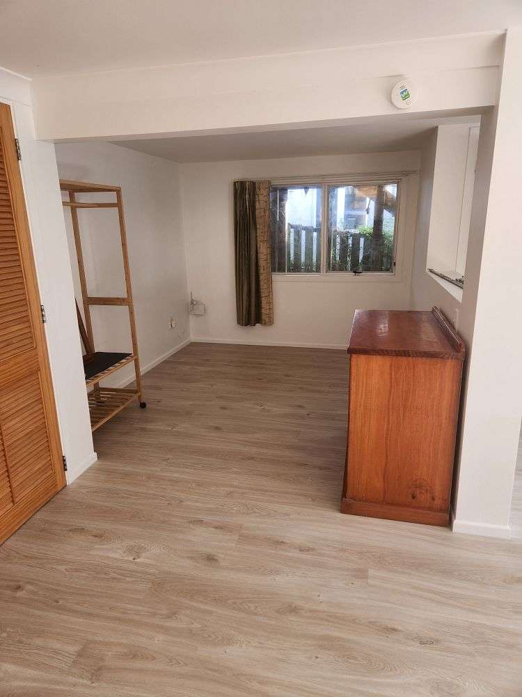 19A Tomo Street New Lynn_3