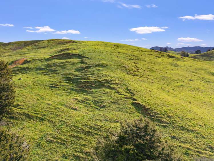 / Lot 12 Gorge Road Maungaturoto_11