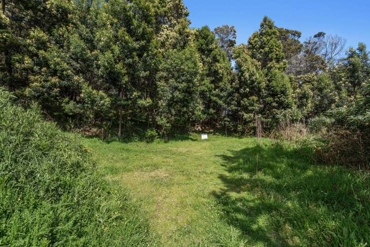 93 Loop Road Ohiwa_12