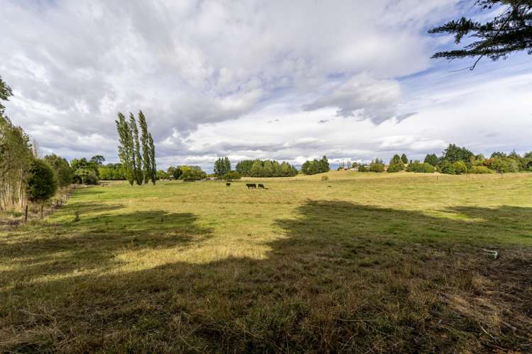 120 Cox Street Geraldine_32