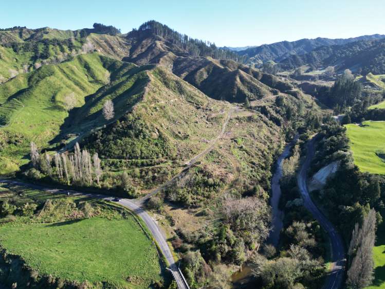 Cnr Whanganui River Road and Otunui South Road_0