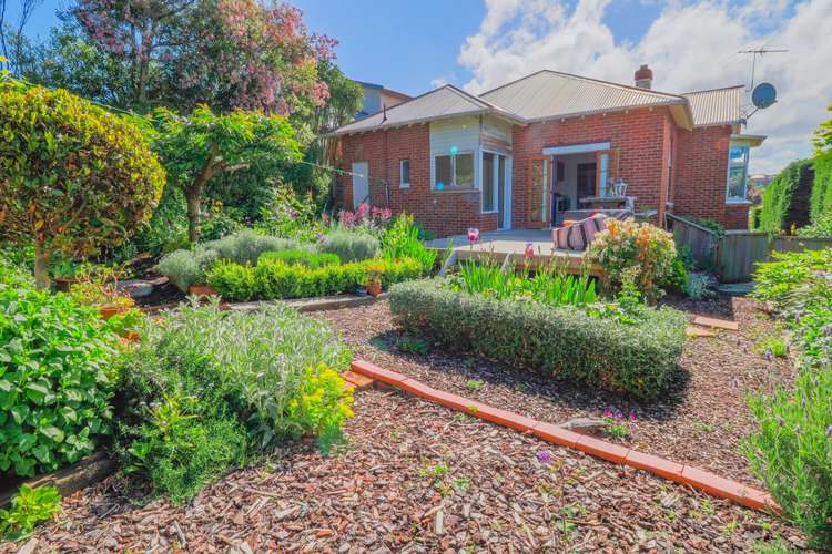 25 Arawa Street Tainui_0