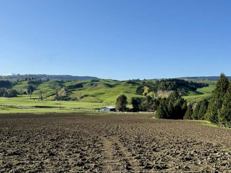 515 Ruanui Road Taihape_13