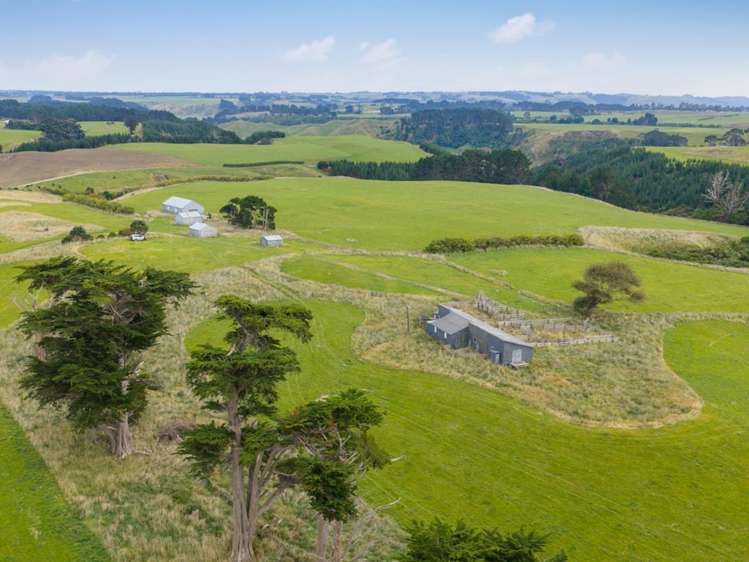 116 Karahaki Road Waverley_5