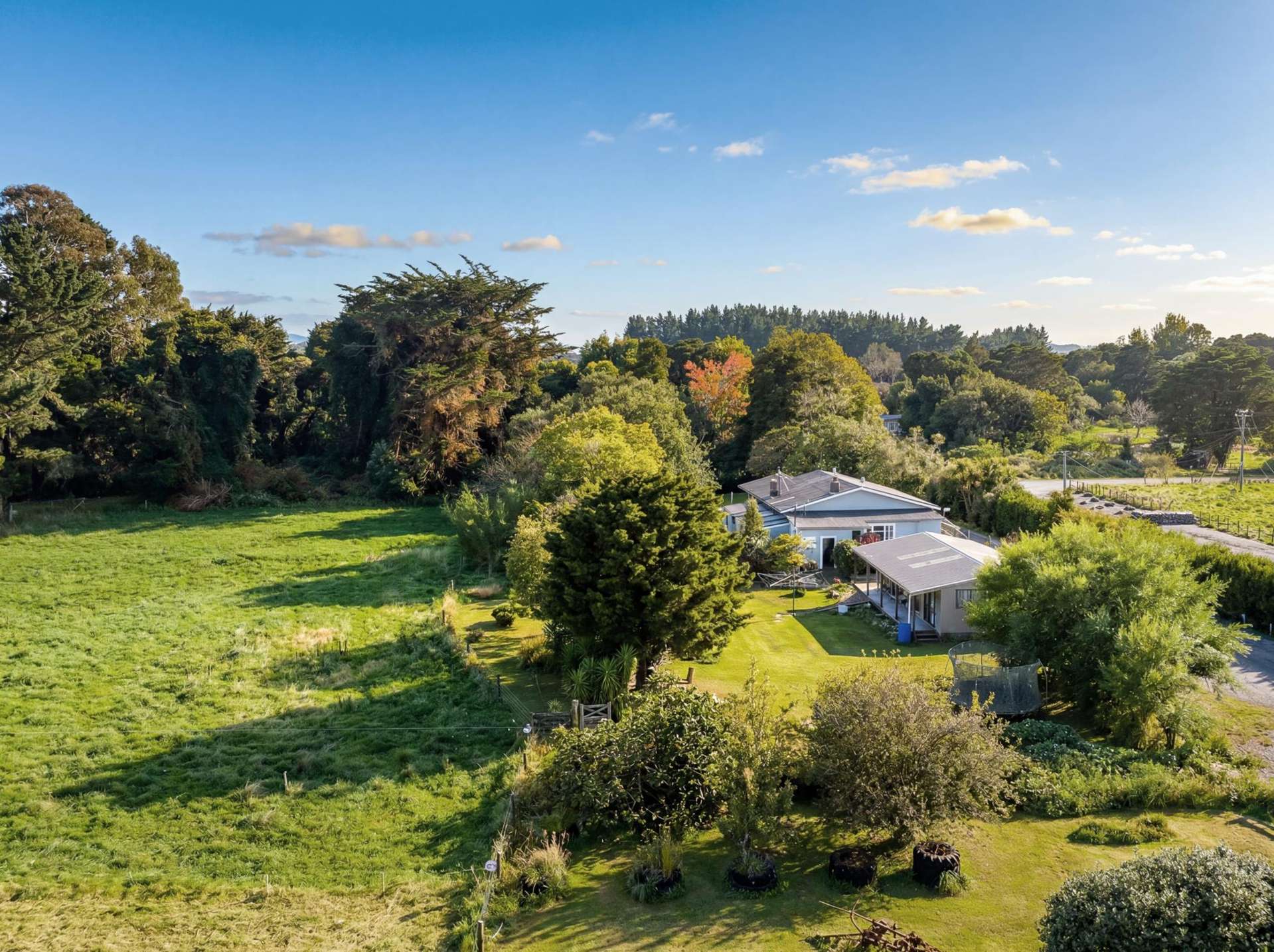 317 Wood Street Greytown_0