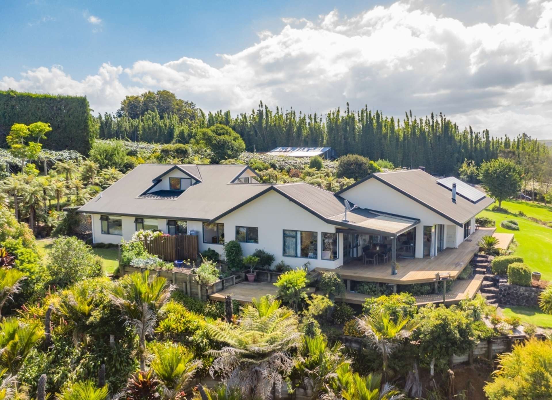 43z Blue Gum Lane Kerikeri_0