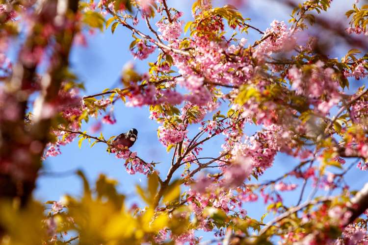 214 Mataro Road Onaero_17