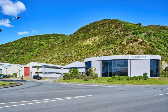 240 Gracefield Road Seaview_1