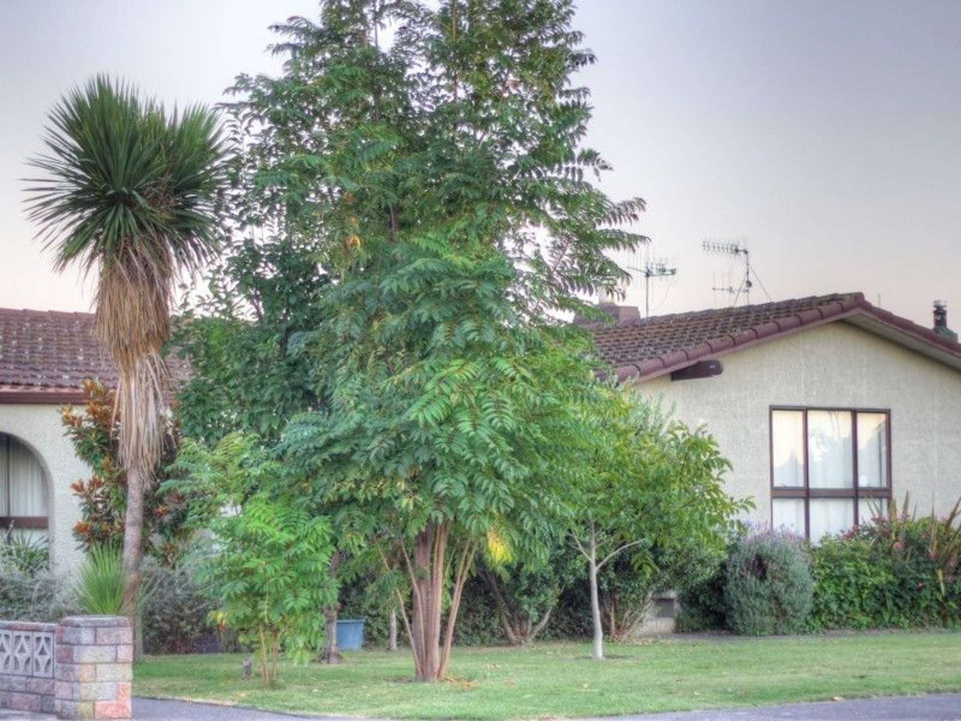 10 Windsor Terrace Taradale_0