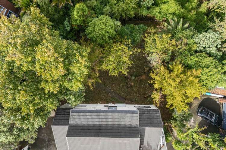 68A & 68B Sayegh Street St Heliers_20