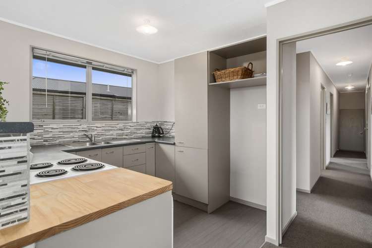 7b Te Mutu Crescent Maungatapu_8