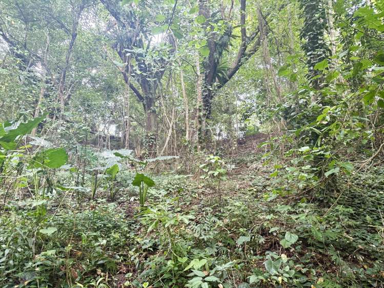 Lot 8 Navava Savusavu_6