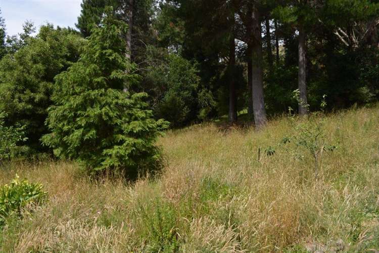 578 Le Bons Bay Road Le Bons Bay_17