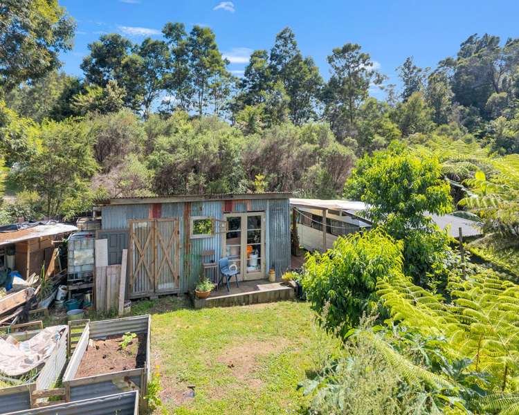 Ohiwa Loop Road Waiotahi_6