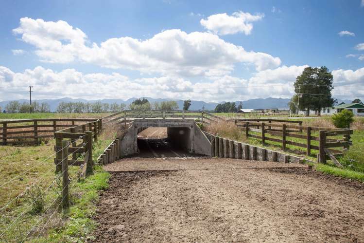 1067 Hauraki Road Paeroa_9