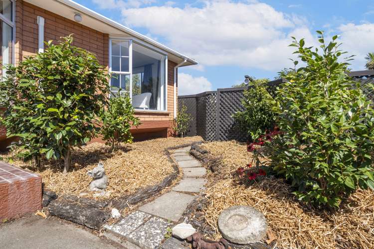 25 Molesworth Place Somerfield_19