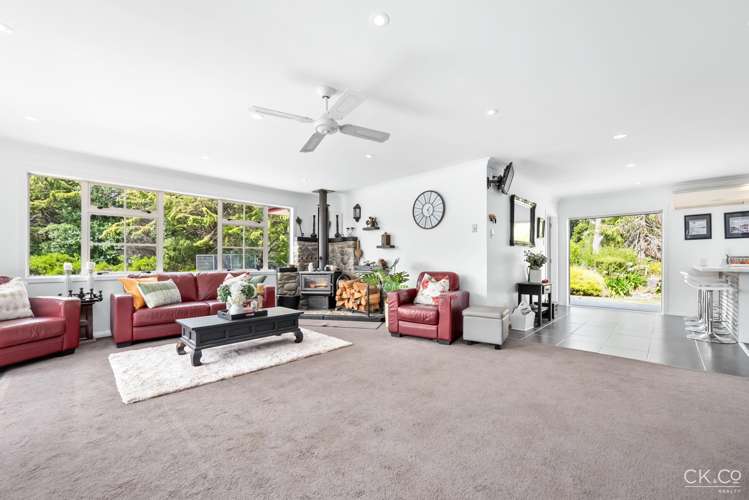 63 Black Beech Street Birchville_5