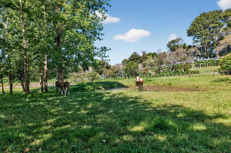 386 South Road Waipu_38