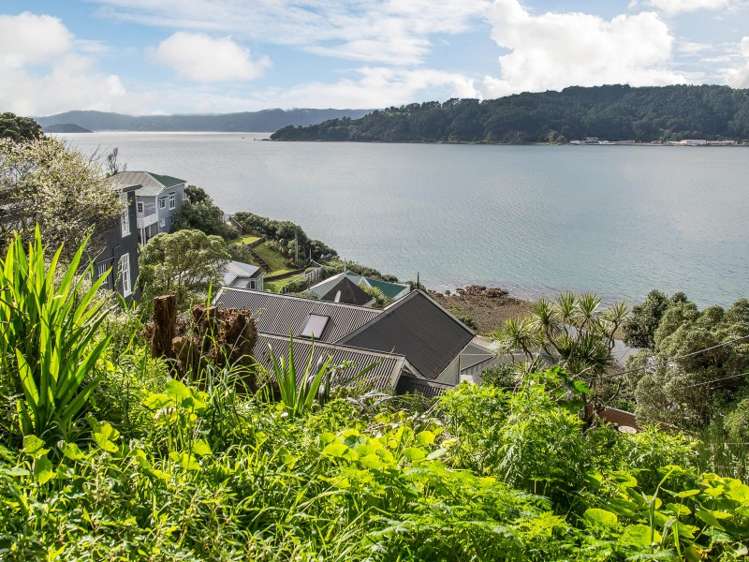 45 Maida Vale Road Roseneath_7