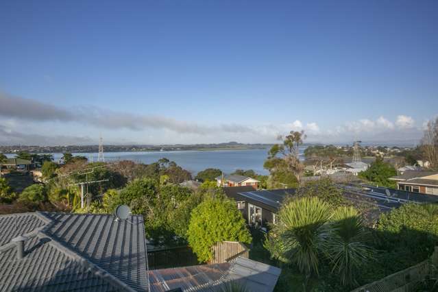 103 Frederick Street Hillsborough_3