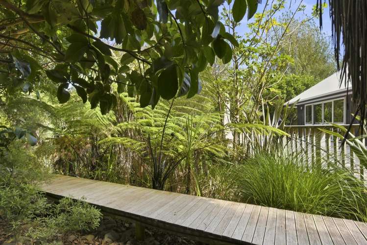 132 Maui Pomare Road Nikau Valley_8