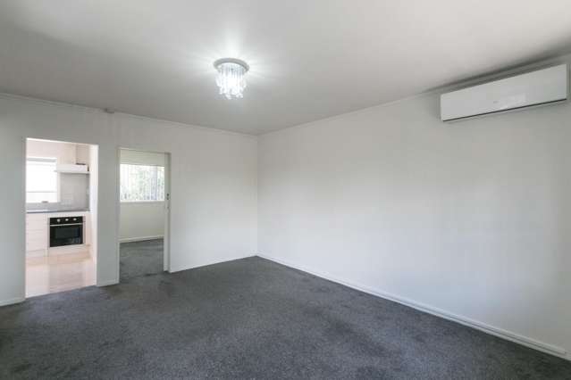 334 Ellerslie-Panmure Highway 1816_4