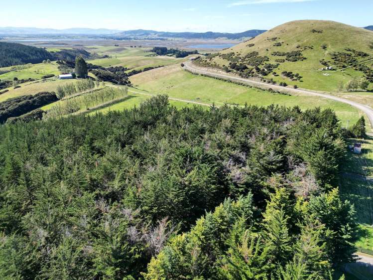Waihola Hill Road Clarendon_1