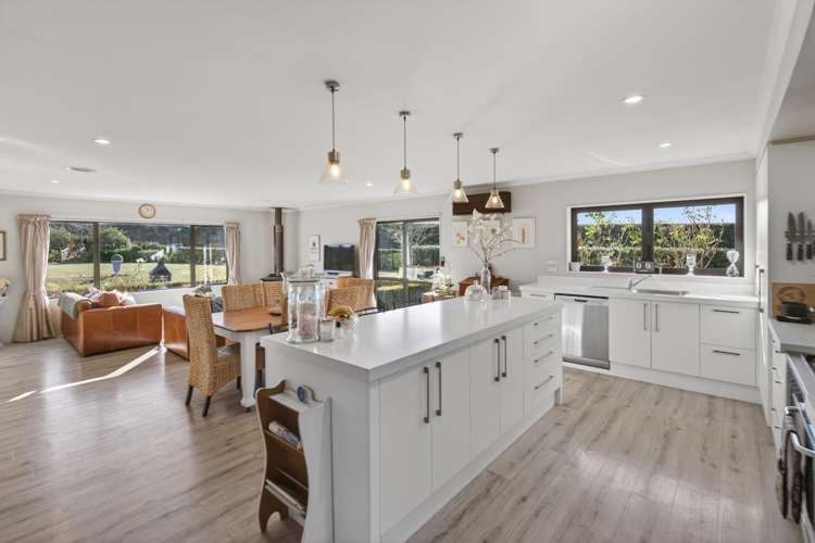 186 Terrace Road Leithfield_5