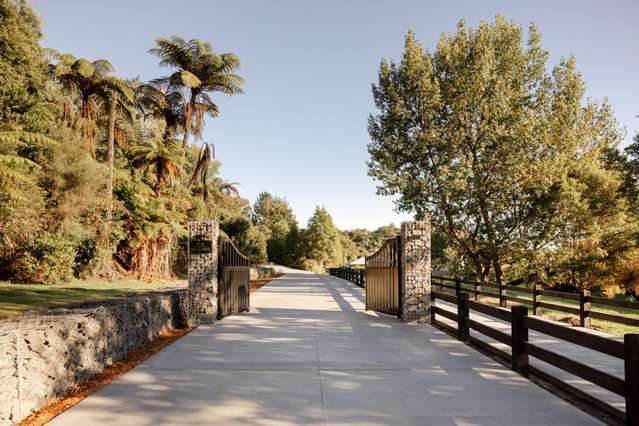 The Willows - 5 LOTS Available