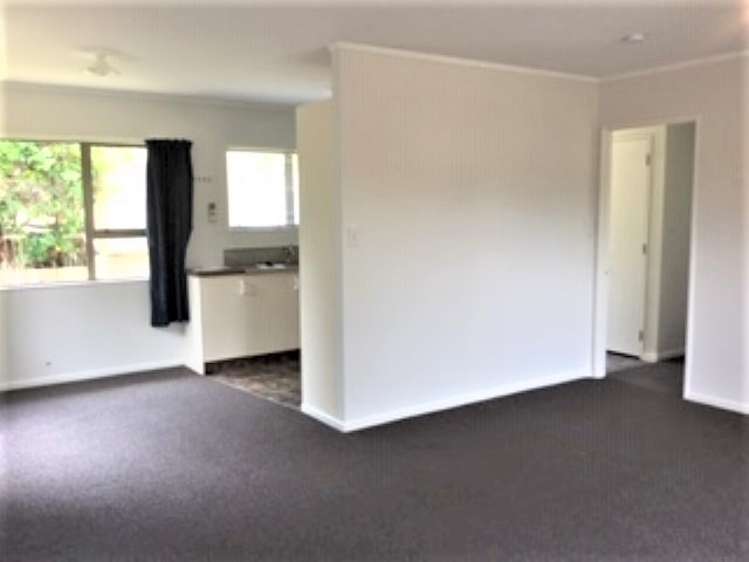 9 Chester Street 11219_5