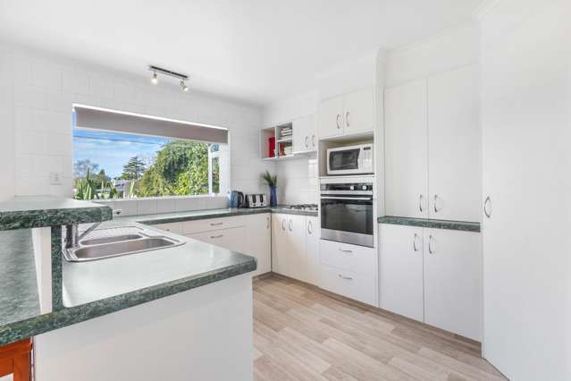 7 Elizabeth Avenue Morrinsville_2