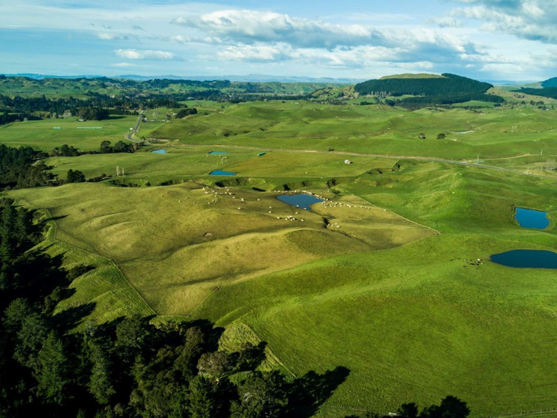 2152 Puketitiri Road Central Hawkes Bay Coastal_0