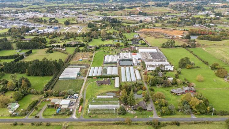 133 Jesmond Road Drury_6