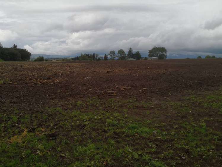 641 Kohanga Road Onewhero_5