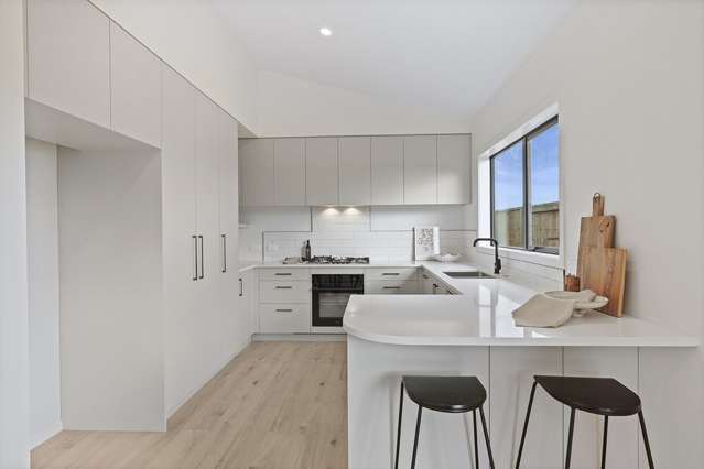 22 Oneone Street 11373_1