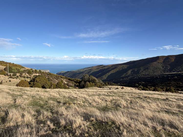 490 Long Bay Road Akaroa_12
