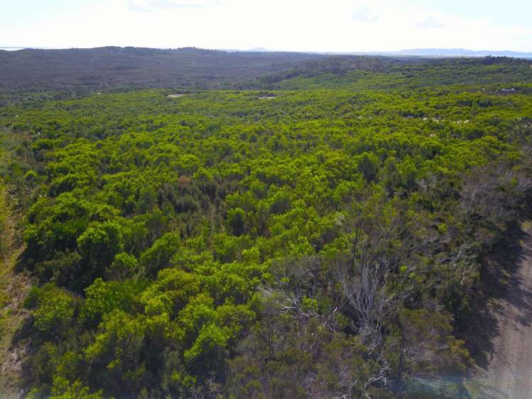 1/2 Tahanga Road Lake Ohia_21