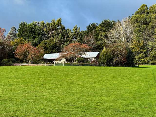 164 Waddle Road Mataura_1