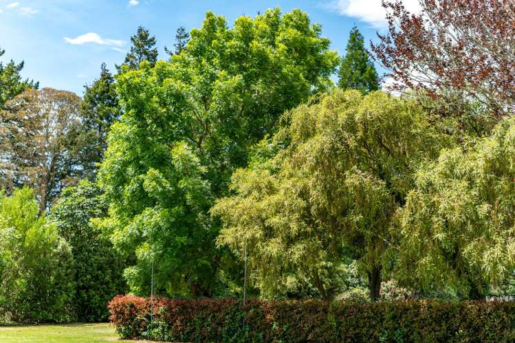 336 Puketiritiri Road Stronvar_21