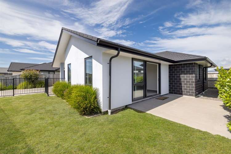 7 Mercury Lane Papamoa_1