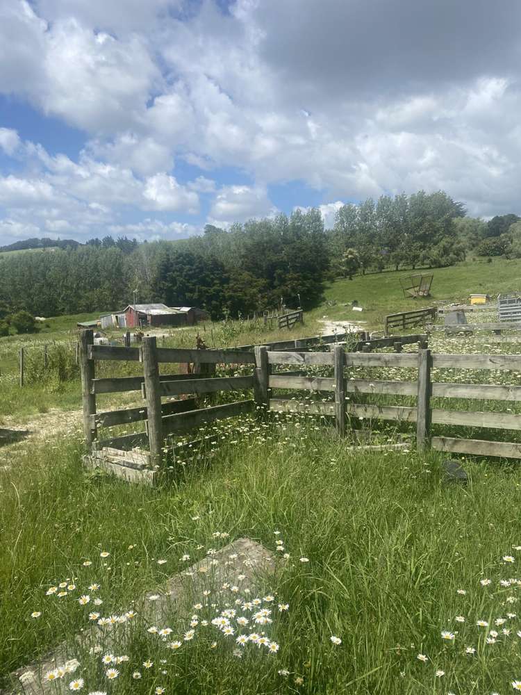 9 Petley Road Paparoa_4