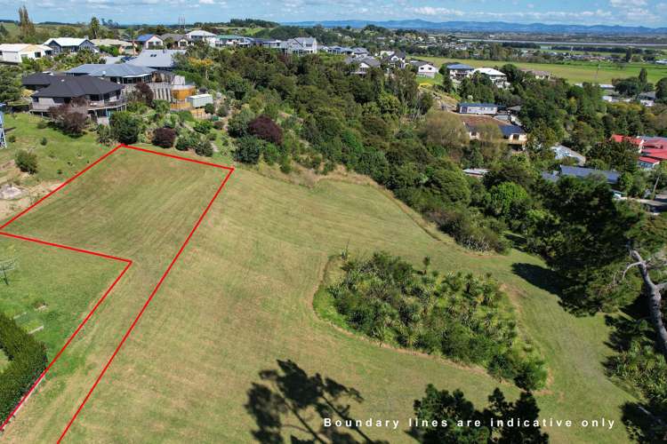 237 The Booms Avenue Thames_5