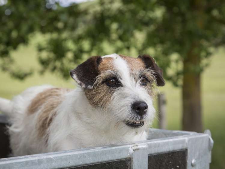 78 Morrison Road Arapohue_21