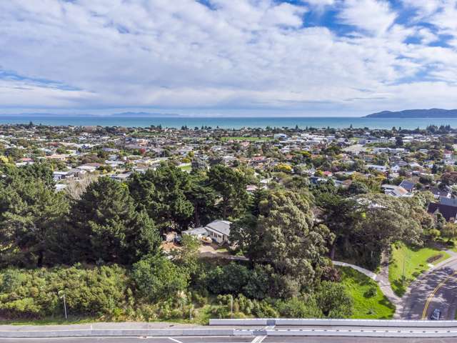 90 Raumati Road Raumati Beach_2