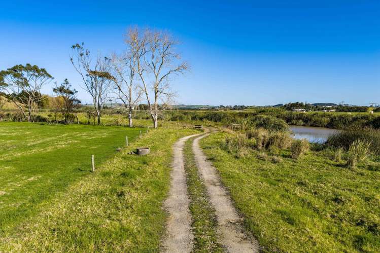 103 Beach Road Dargaville_15