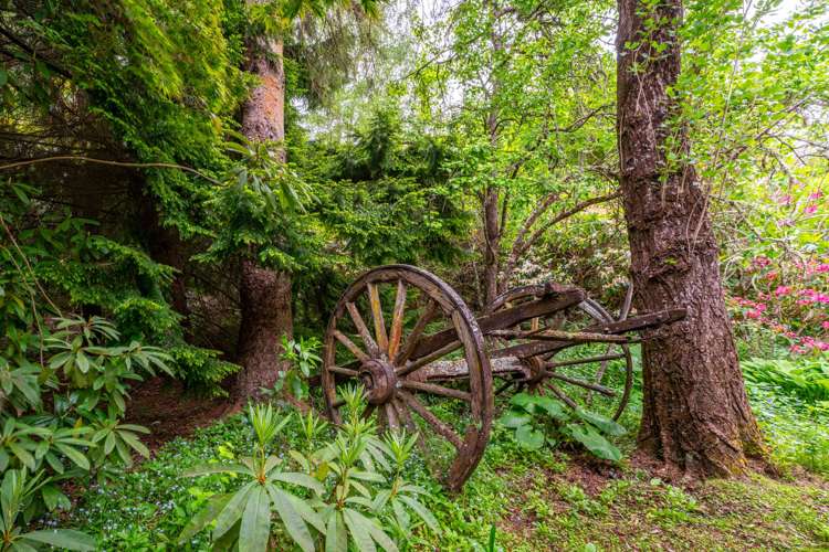 166 Breakneck Road Herbert_10